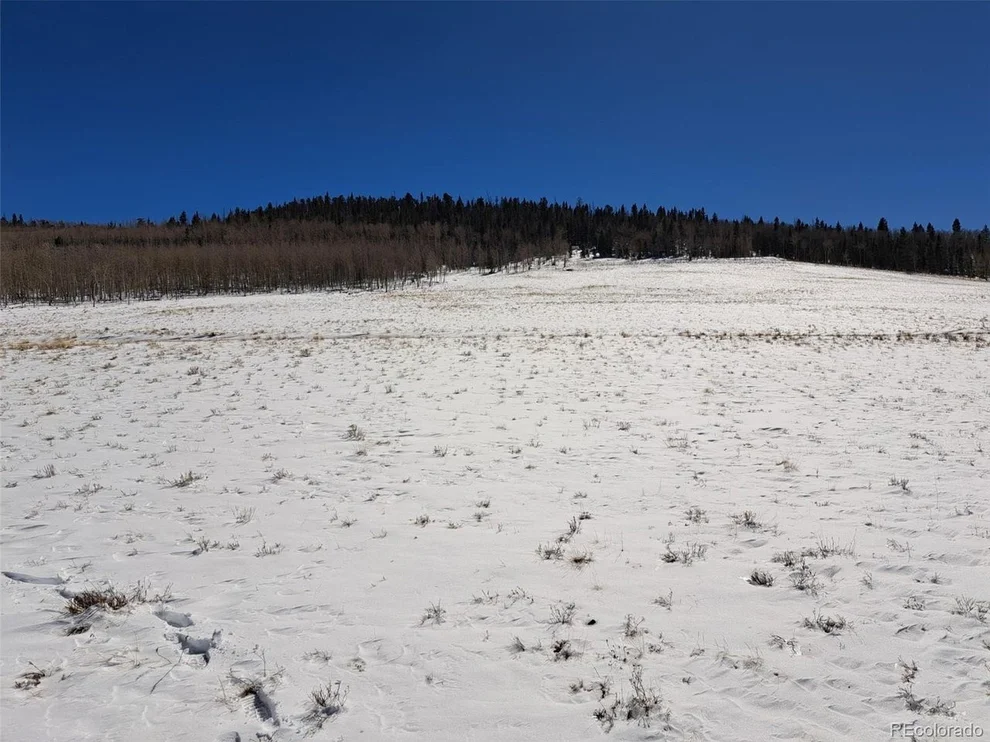 Unit for sale at 0 Jicarilla Trl, Hartsel, CO 80449