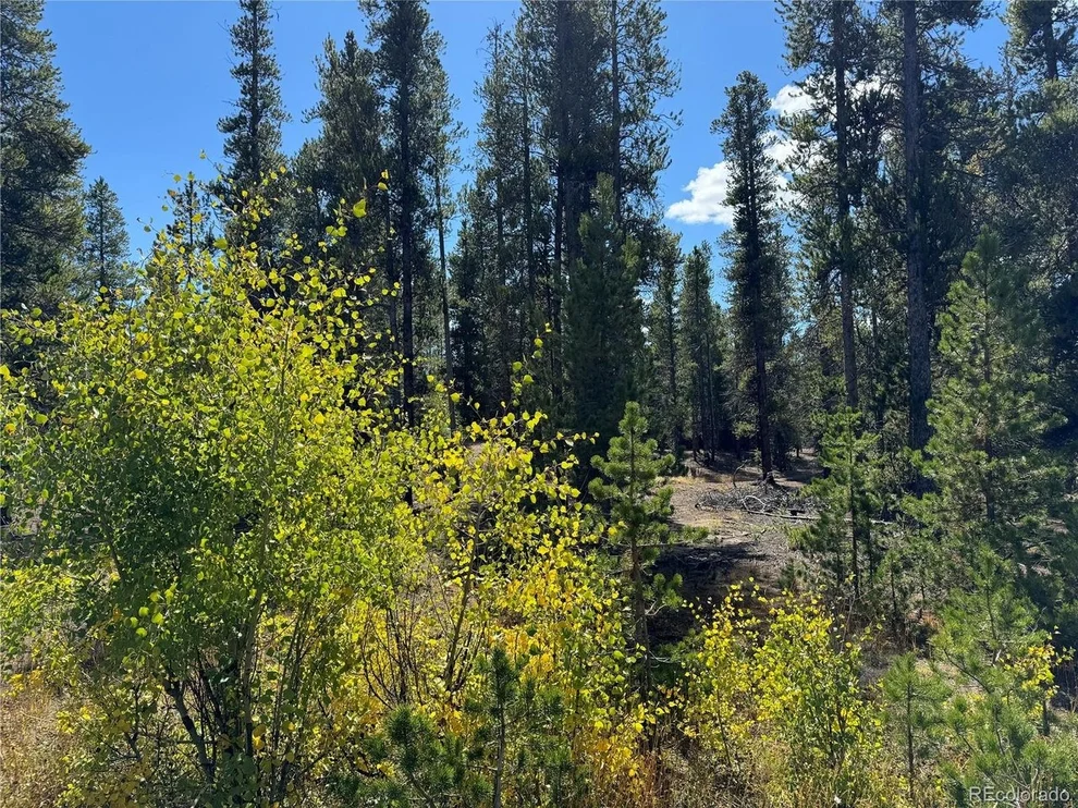 Unit for sale at 517 Augusta Dr, Leadville, CO 80461