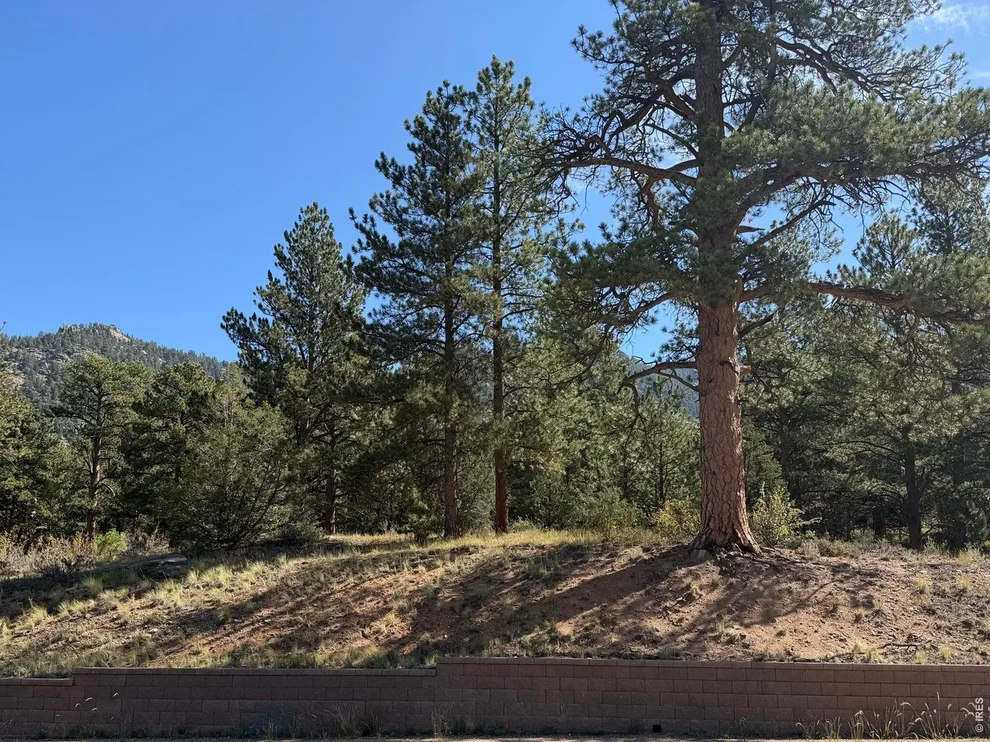 Unit for sale at 0 Fish Creek Rd, Estes Park, CO 80517