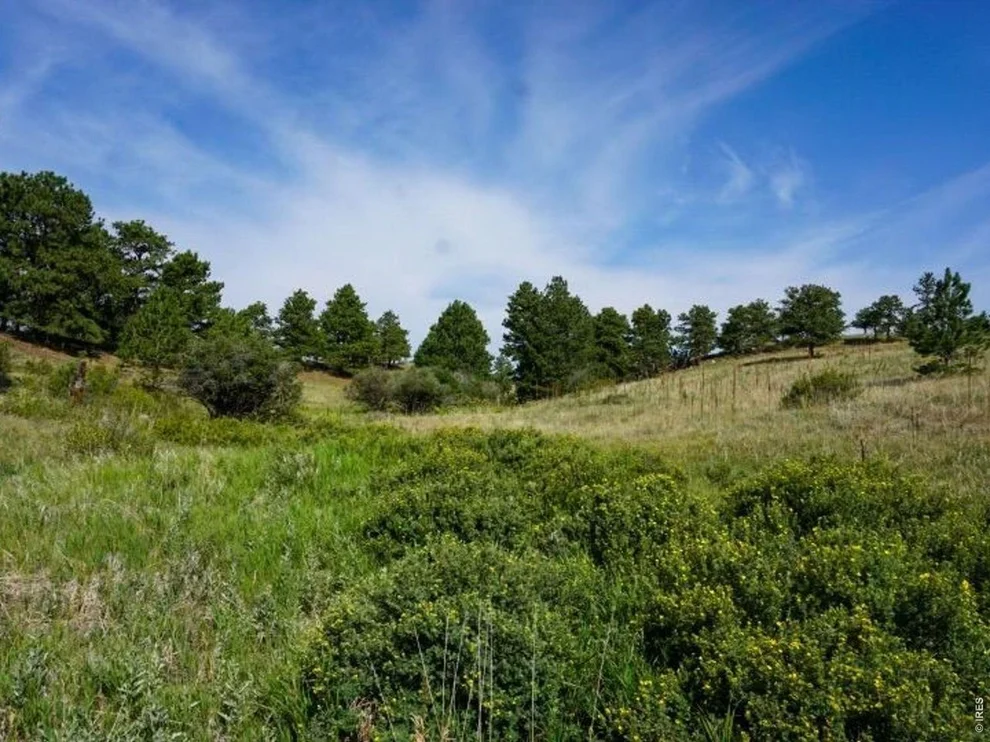 Unit for sale at 0 Stub Ct, Livermore, CO 80536