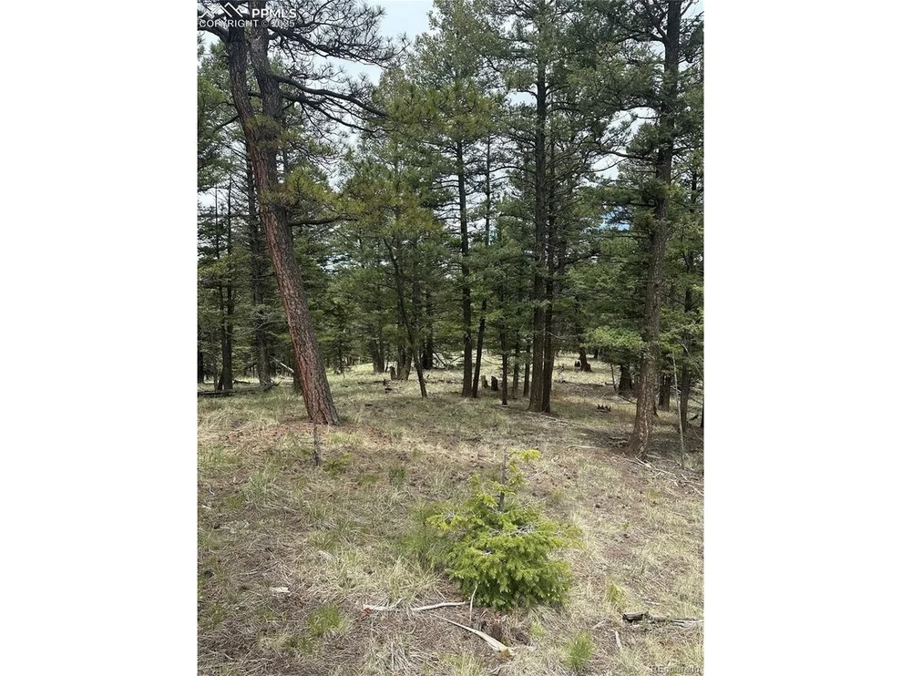 Unit for sale at 1120 N Mountain Estates Rd, Florissant, CO 80816