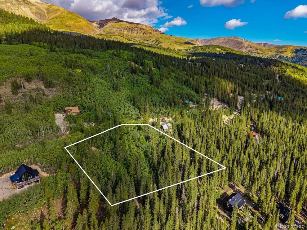 Unit for sale at 1238 Quartzville, Alma, CO 80420