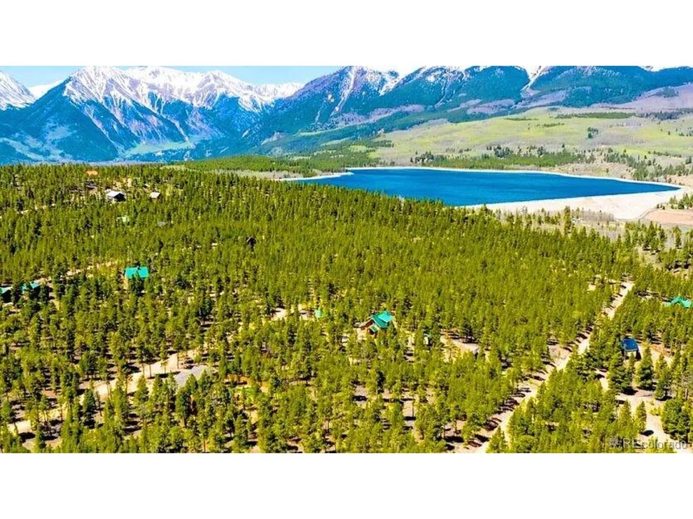Unit for sale at 55 Lodgepole Dr, Twin Lakes, CO 80461