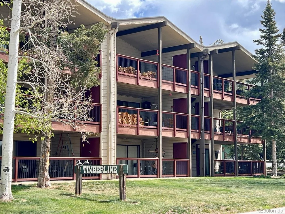 Unit for sale at 244 Lodgepole St, Dillon, CO 80435