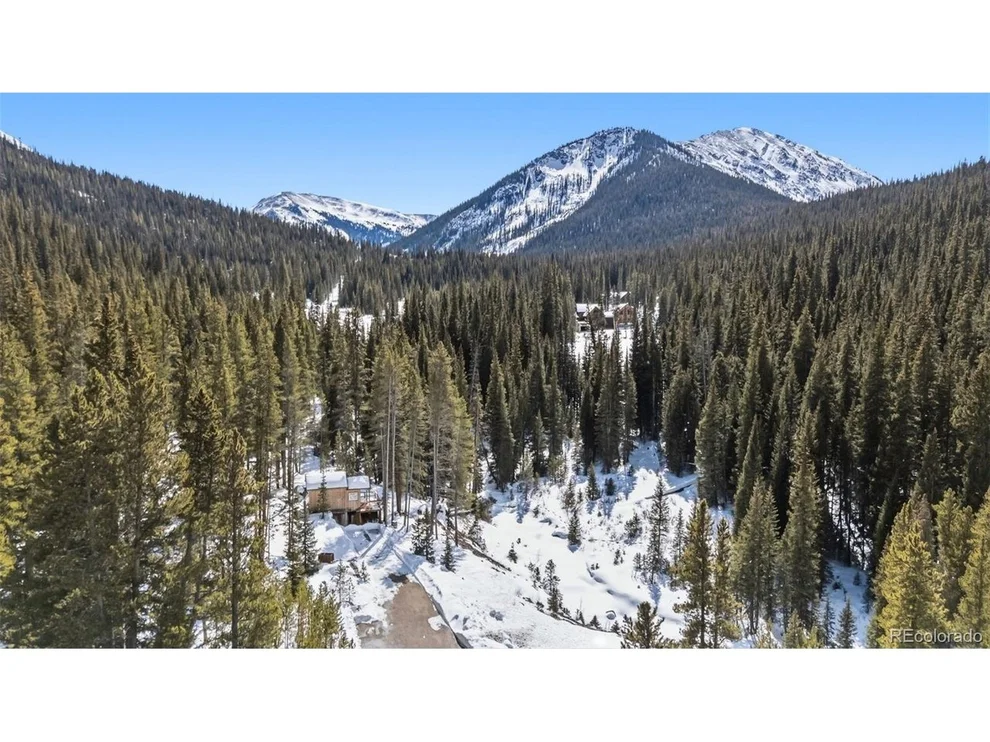 Unit for sale at 5080 Montezuma Rd, Montezuma, CO 80435