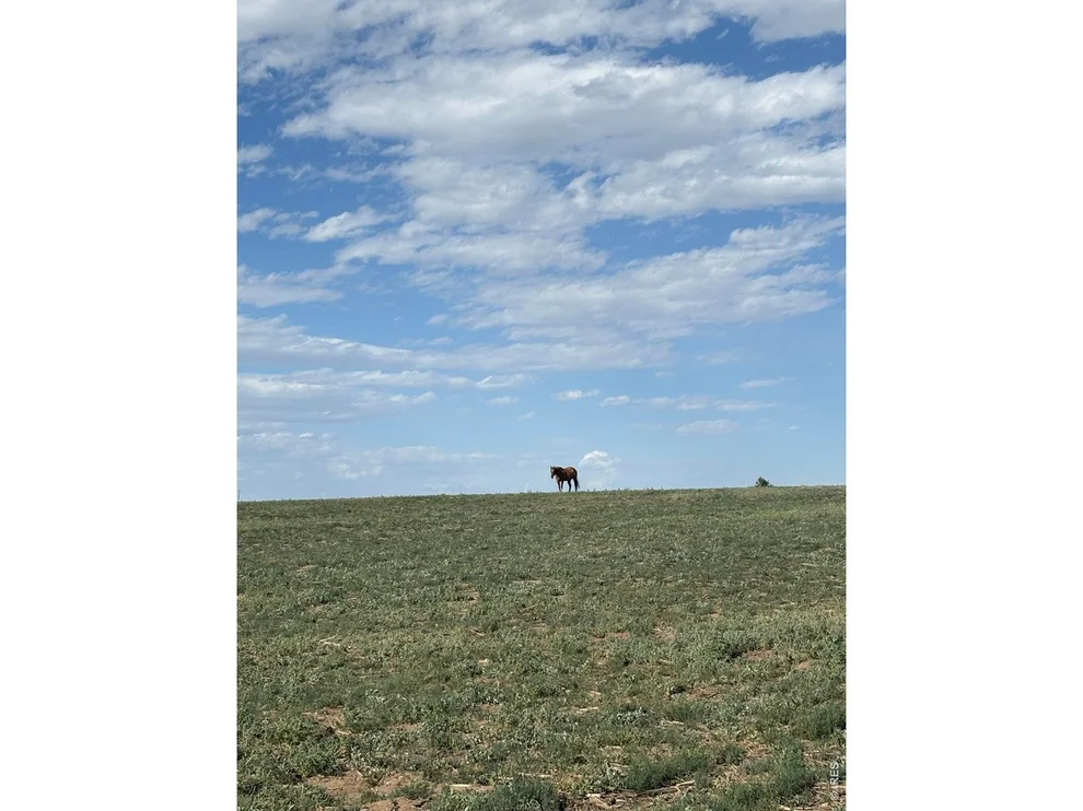 Unit for sale at 0 County Road 35, Platteville, CO 80651