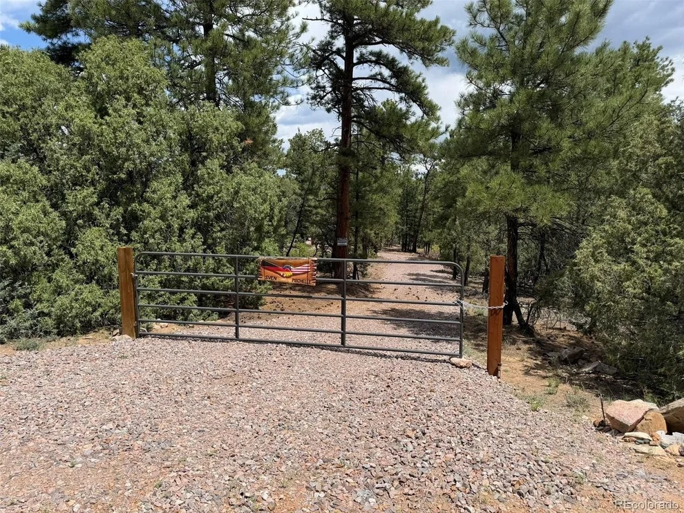 Unit for sale at 165 Mosswood Dr, Cotopaxi, CO 81223