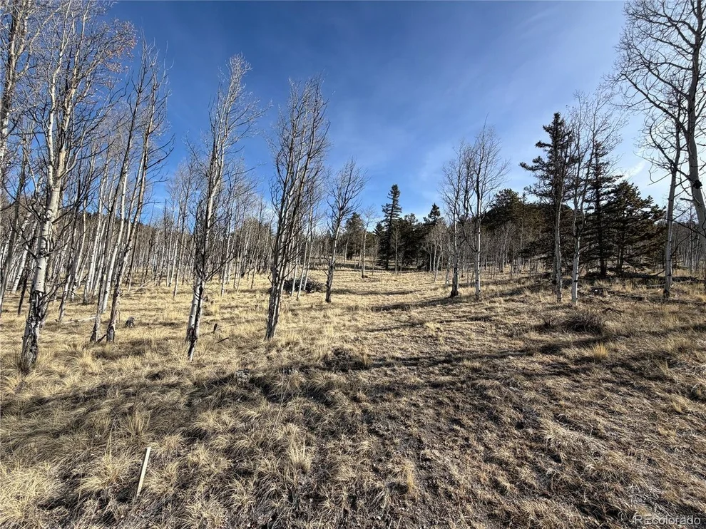 Unit for sale at 32 Sugar Loaf Ln, Jefferson, CO 80456