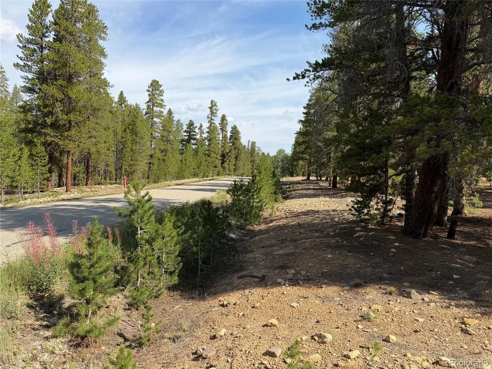 Unit for sale at 1796 Autumn Dr, Leadville, CO 80461