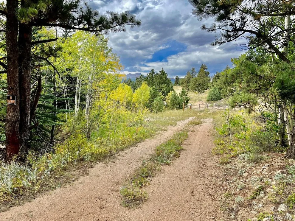Unit for sale at 2171 Cold Springs Rd, Nederland, CO 80466