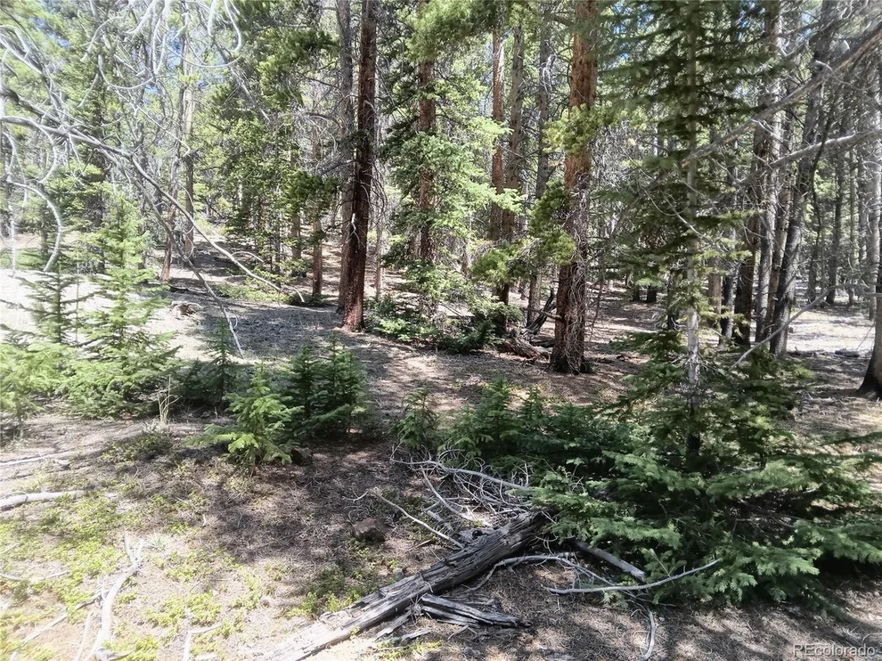 Unit for sale at 6020 Black Swan, Leadville, CO 80461