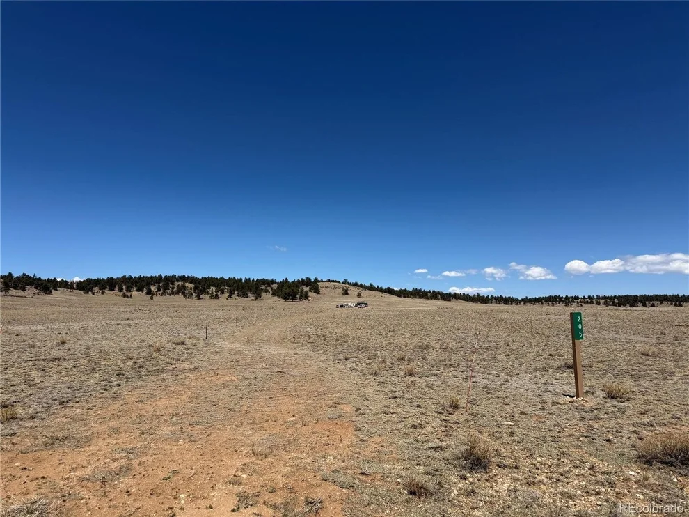 Unit for sale at 205 Cheyenne Trl, Hartsel, CO 80449