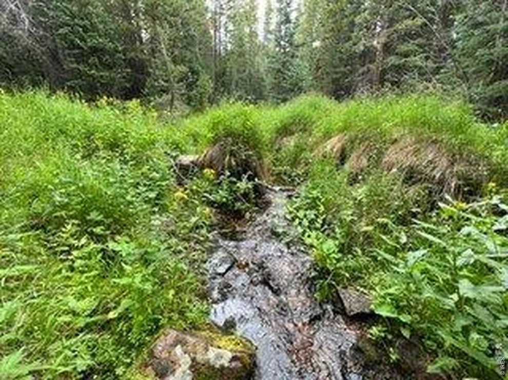 Unit for sale at 1070 Pearl Creek Rd, Red Feather Lakes, CO 80545