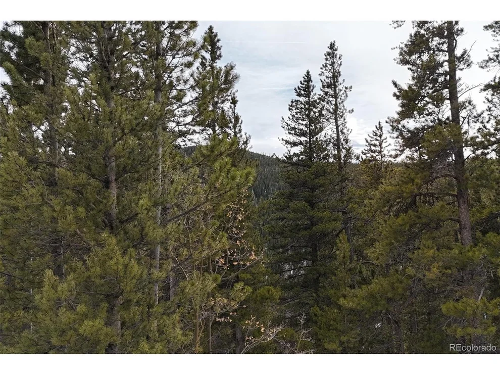 Unit for sale at 649 Vista Rd, Idaho Springs, CO 80452