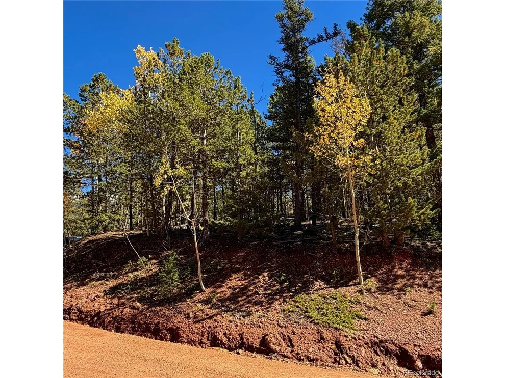 Unit for sale at 624 Witherite Dr, Divide, CO 80814