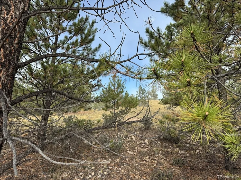 Unit for sale at 155 Whip Way, Hartsel, CO 80449