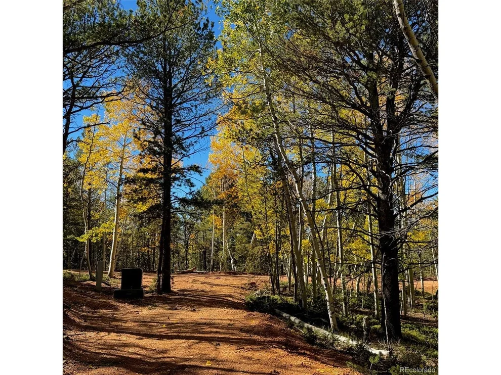 Unit for sale at 800 Timber Ridge Rd, Divide, CO 80814