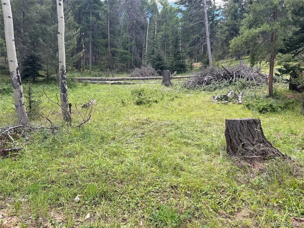 Unit for sale at 12208 Circle Dr, Conifer, CO 80433