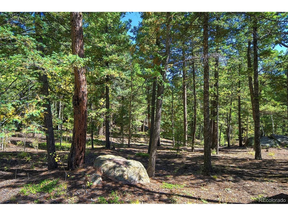 Unit for sale at 30092 Kings Vly E, Conifer, CO 80433