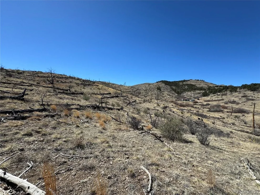 Unit for sale at 32 F Path, Cotopaxi, CO 81223