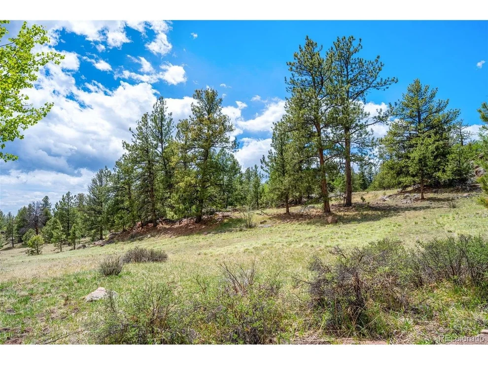 Unit for sale at 527 Plateau Dr, Guffey, CO 80820