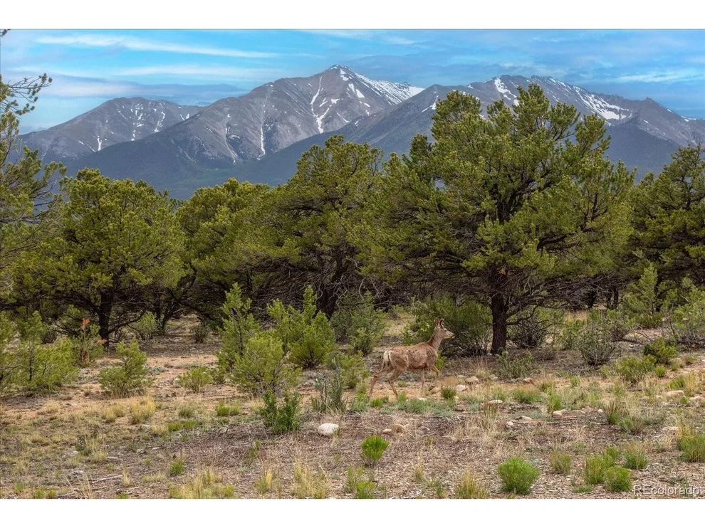 Unit for sale at 29258 Sage Ln, Buena Vista, CO 81211