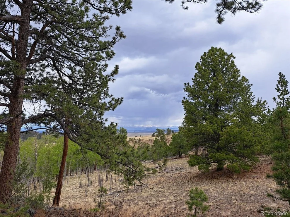 Unit for sale at 0 Dog Soldier Trl, Hartsel, CO 80449