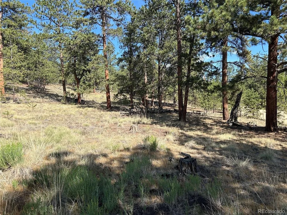 Unit for sale at 565 Hayhook Way, Hartsel, CO 80449