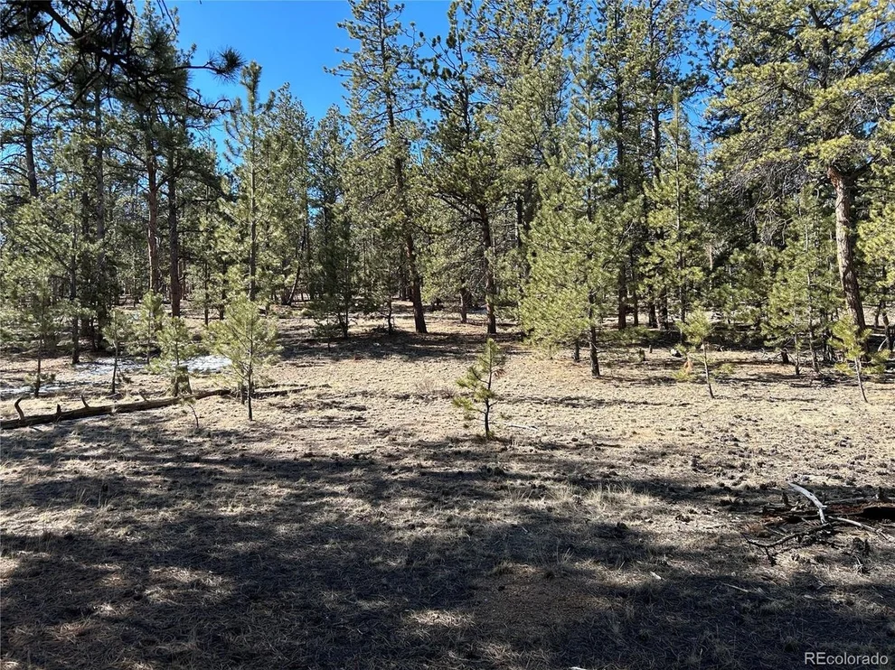 Unit for sale at 147 Haystack Rd, Hartsel, CO 80449