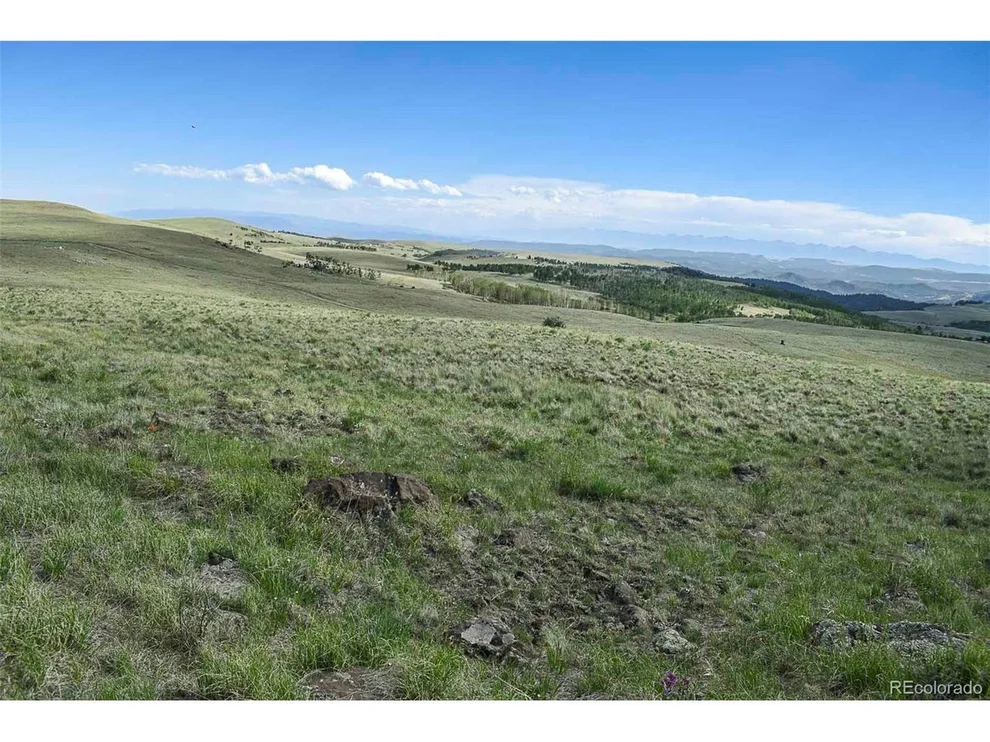 Unit for sale at 0 Bear Cat Rd, Guffey, CO 80820