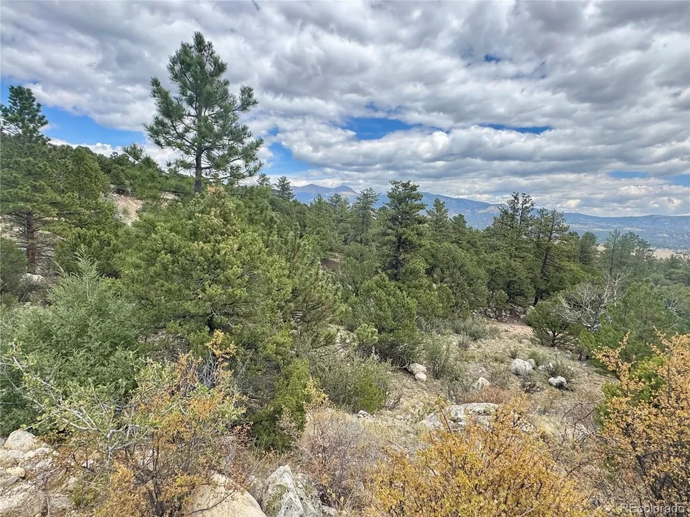 Unit for sale at 30110 Princeton Hls, Buena Vista, CO 81211