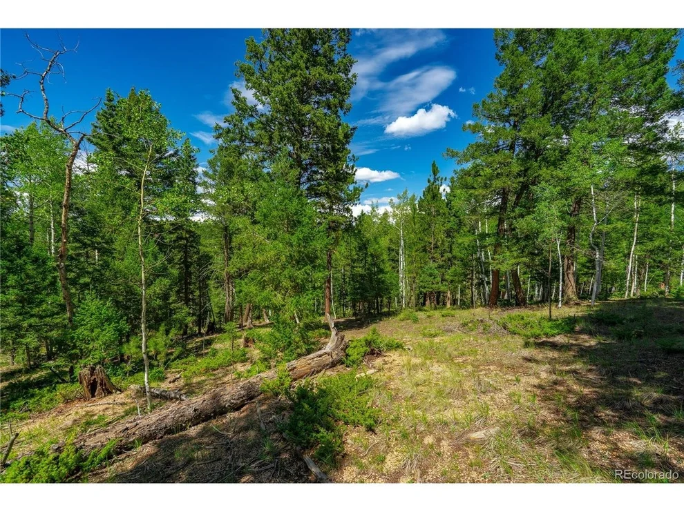 Unit for sale at 431 Cottonwood Lake Dr, Divide, CO 80814