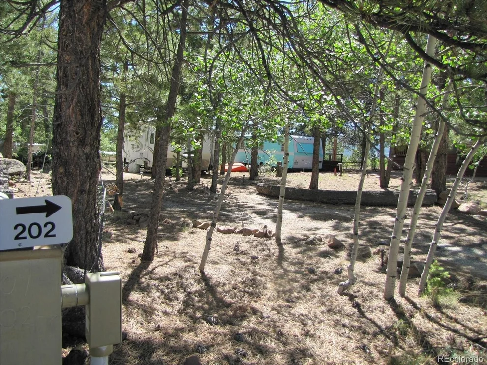 Unit for sale at 19 Lantern Loop, Hartsel, CO 80449
