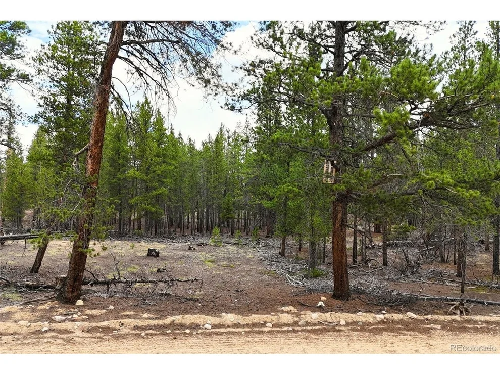 Unit for sale at 701 Cedar Dr, Leadville, CO 80461