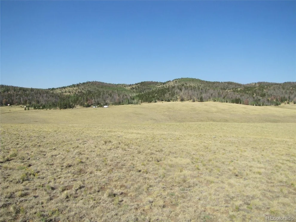 Unit for sale at 1027 Bolster Dr, Hartsel, CO 80449