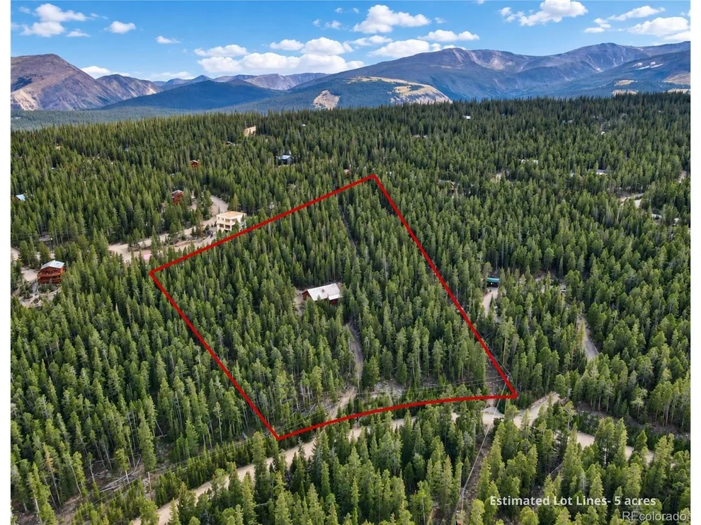 Unit for sale at 424 Dry Gulch Rd, Fairplay, CO 80440