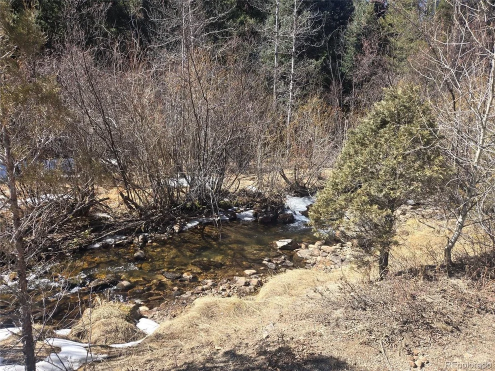 Unit for sale at Fall River Rd, Idaho Springs, CO 80452