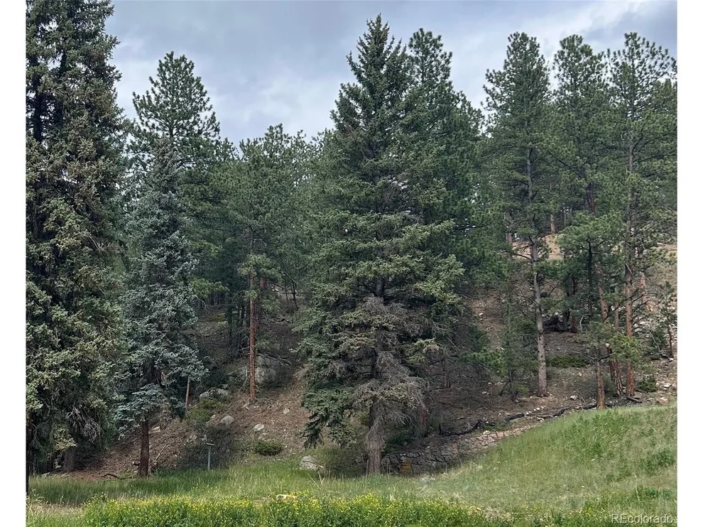 Unit for sale at 5190 County Road 73, Evergreen, CO 80439