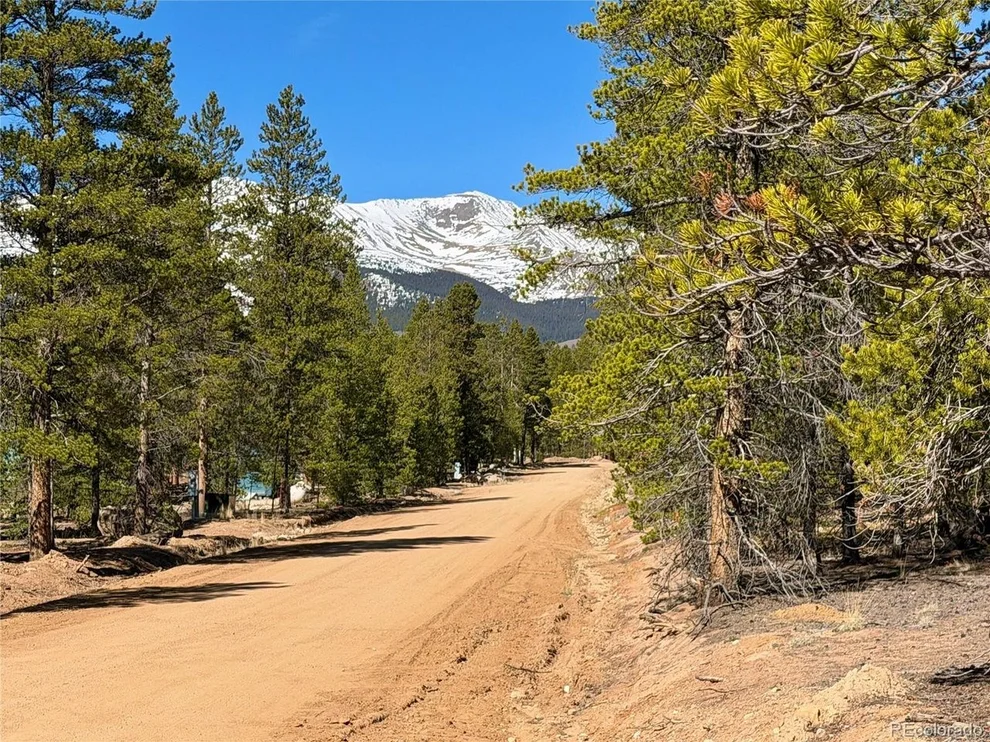 Unit for sale at 341 Aspen Dr, Leadville, CO 80461