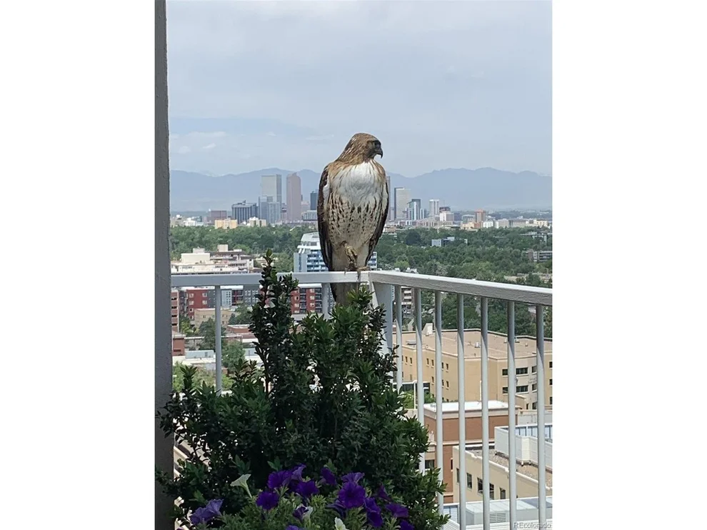 Unit for sale at 955 Eudora St, Denver, CO 80220