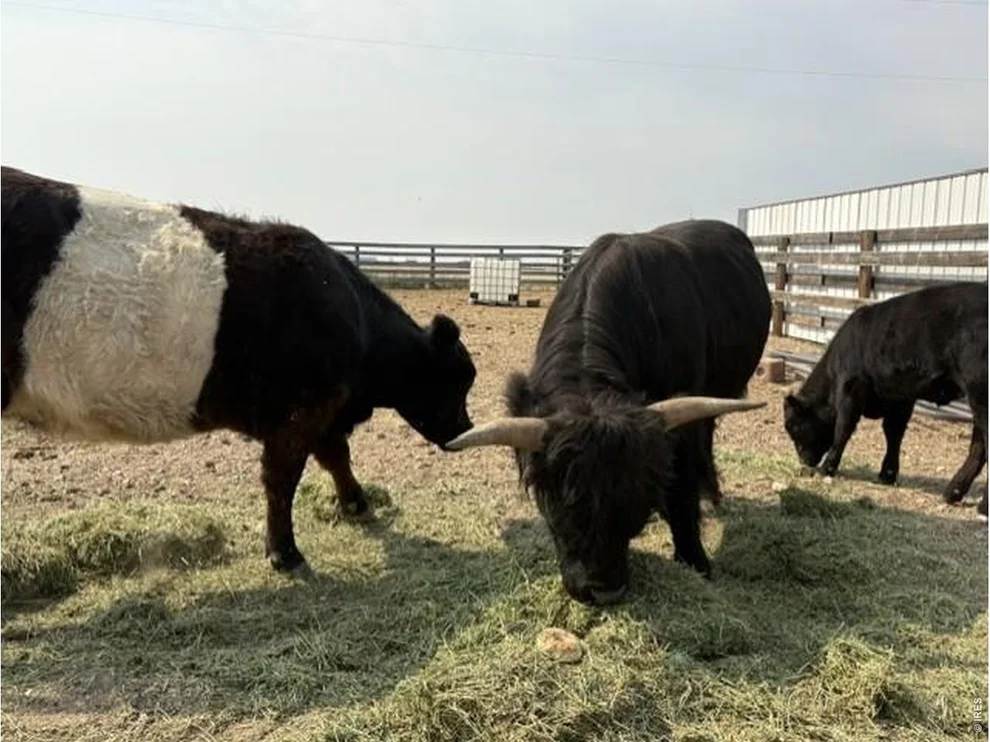 Unit for sale at Lot G County Road 43 and 96 Rd, Pierce, CO 80650