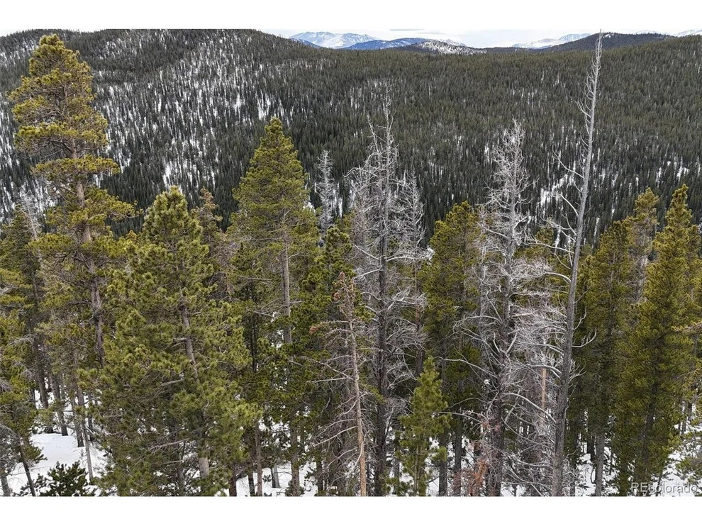 Unit for sale at 156 Vista Rd, Idaho Springs, CO 80452