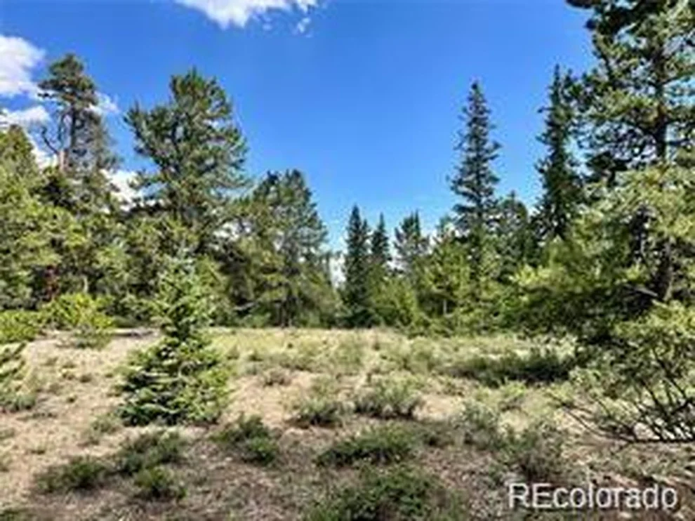 Unit for sale at 76 Ute Way, Fairplay, CO 80440