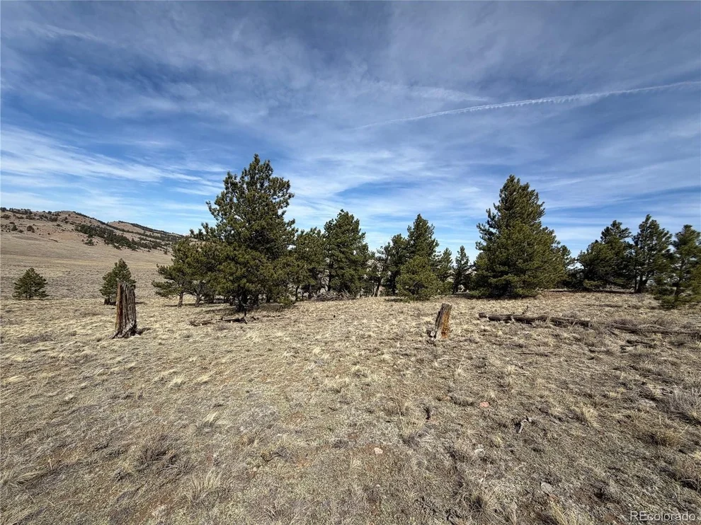 Unit for sale at 990 Coyotero Trl, Hartsel, CO 80449