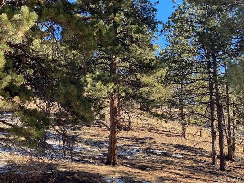 Unit for sale at 156 E Cline Dr, Shawnee, CO 80475