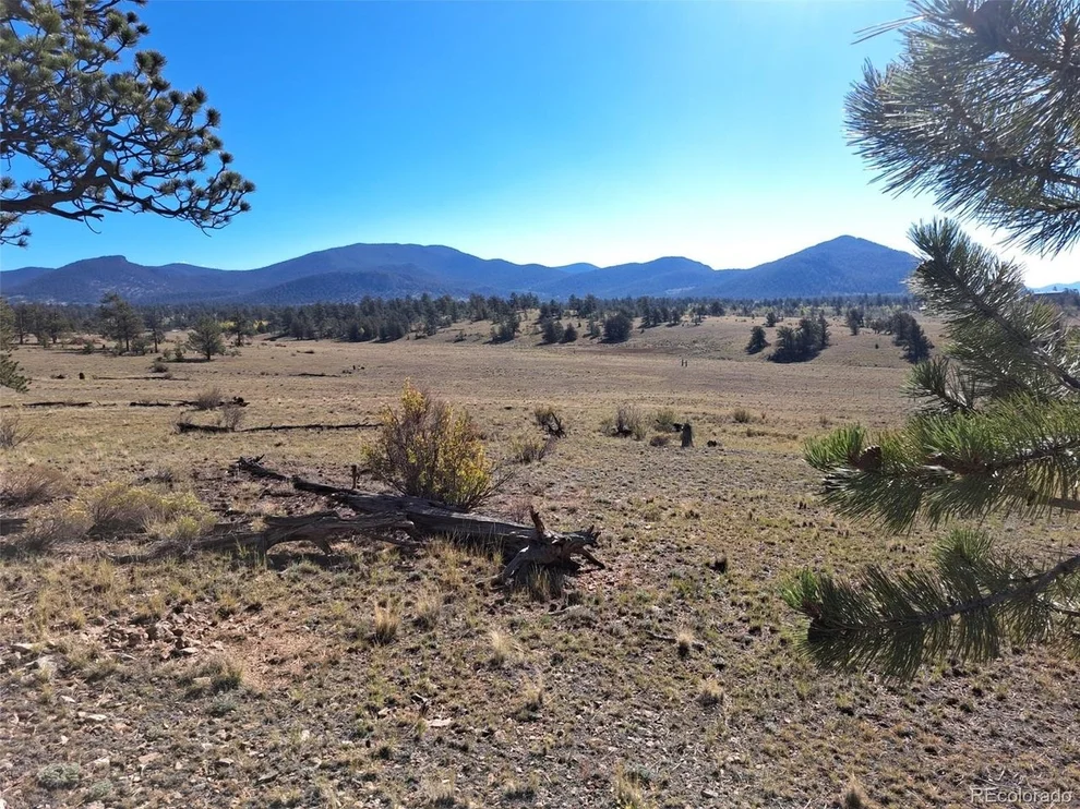 Unit for sale at 508 Grand Teton Dr, Hartsel, CO 80449