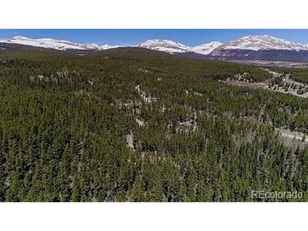 Unit for sale at 136 Evenrude Rd, Fairplay, CO 80440
