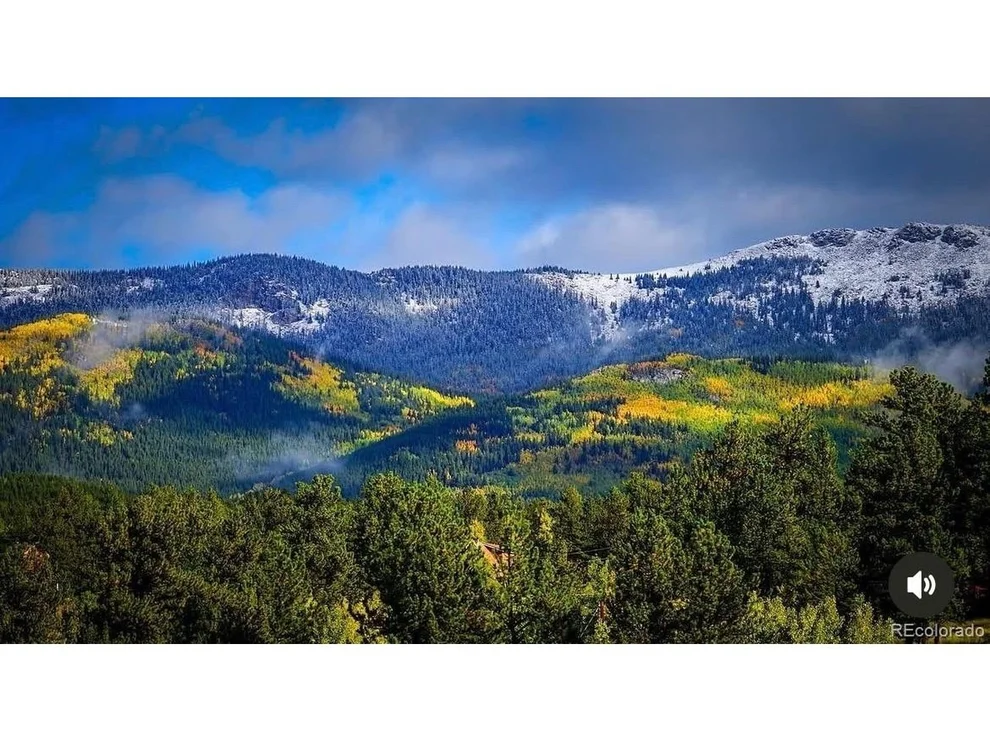 Unit for sale at 1682 Clark Rd, Bailey, CO 80421