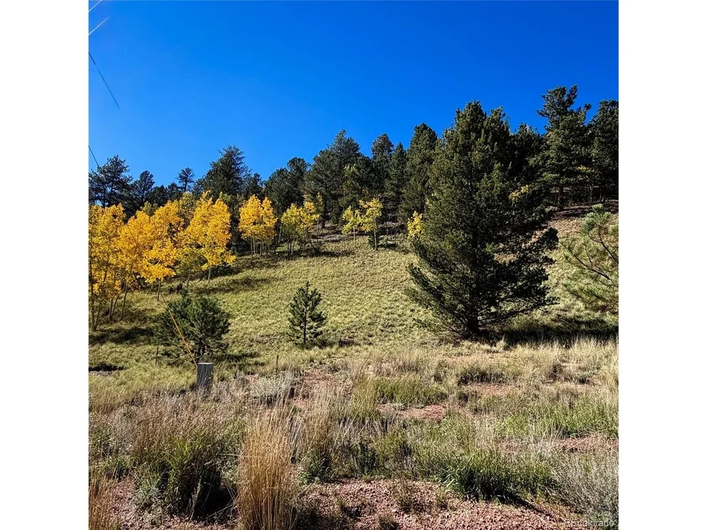 Unit for sale at 200 Beaver Pond Rd, Divide, CO 80814