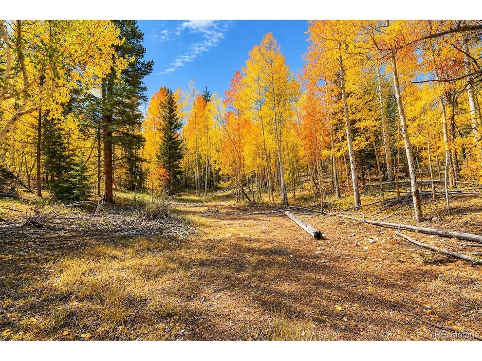 Unit for sale at 1 Venture Rd, Fairplay, CO 80440